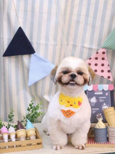 20250501風太郎くん